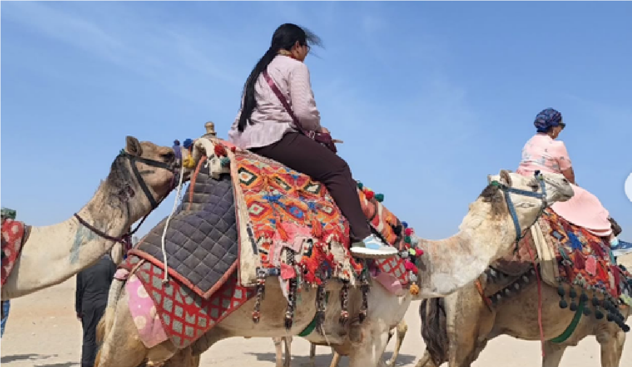 A woman riding a decorated camel in the desert on a Travel Bezzie trip