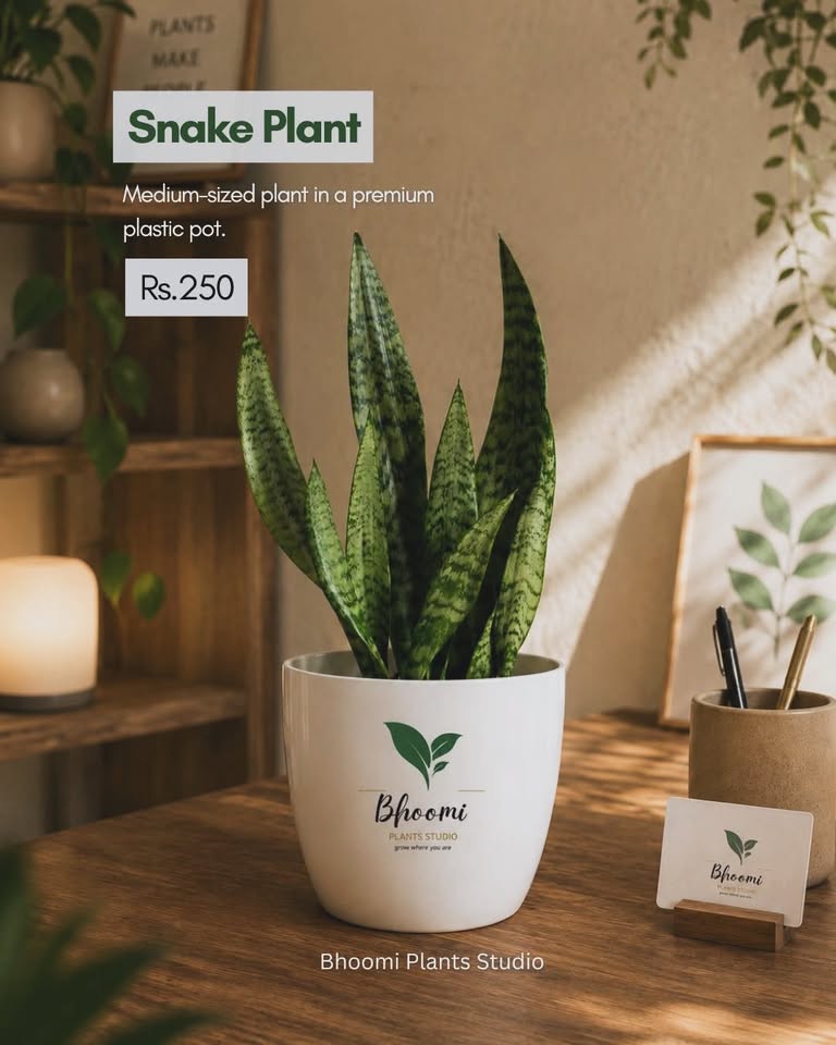 Bhoomi Plants Studio — Onam collection product photo