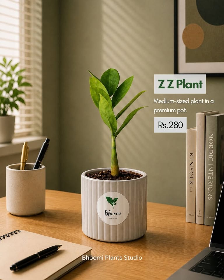 Bhoomi Plants Studio — Onam collection product photo