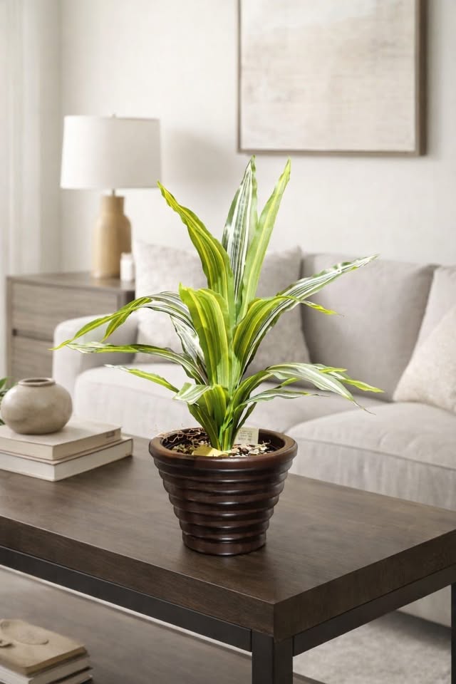 Elegance — Onam collection product photo